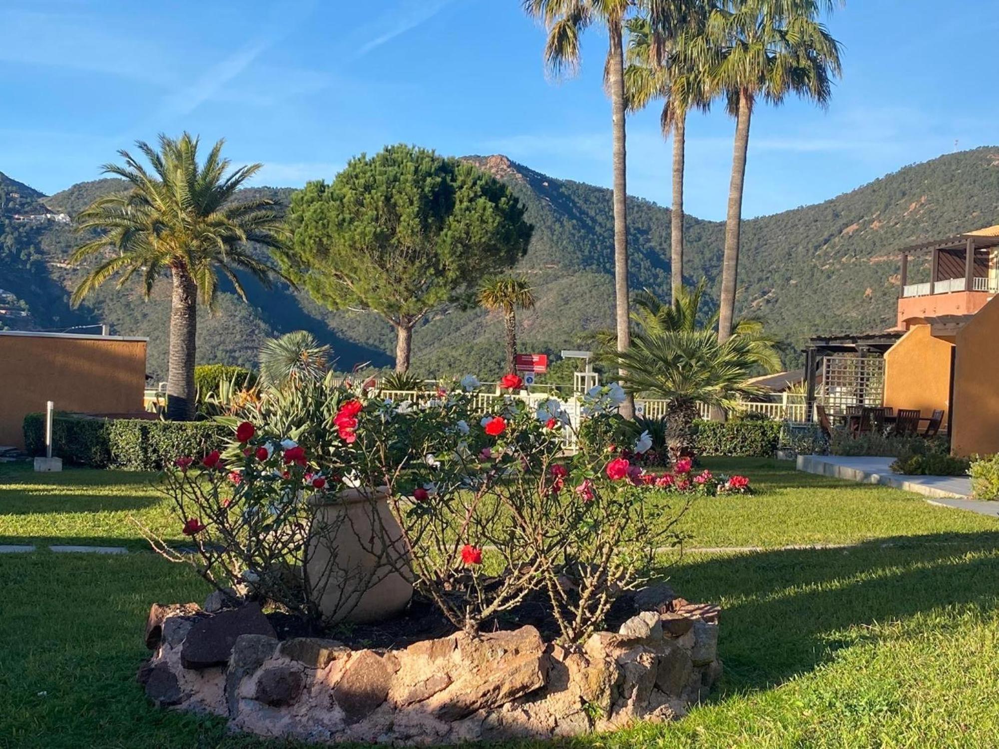 Vue Mer Et Jardin Théoule-sur-Mer Zewnętrze zdjęcie